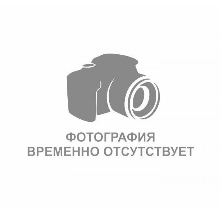 Загидуллин Науфаль Шамилевич
